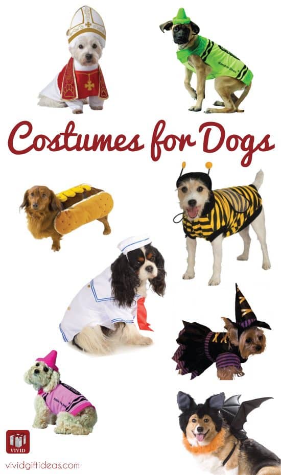 8 Cute Halloween Costumes For Dogs - Vivid's Gift Ideas