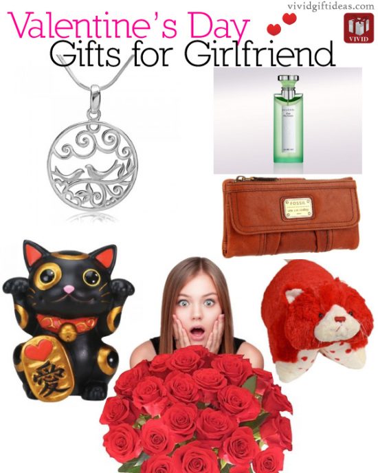 Romantic Valentines Gifts for Girlfriend (2014) - Vivid's Gift Ideas