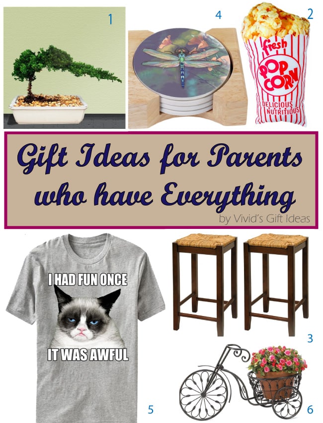 Unique Gift Ideas for Parents Who Have Everything - Vivid's