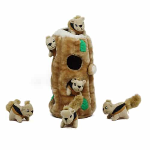 Kyjen Hide-A-Squirrel Puzzle Toy for Dogs