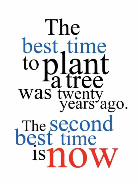 The best time to plant a tree was twenty years ago. The second best time is now.