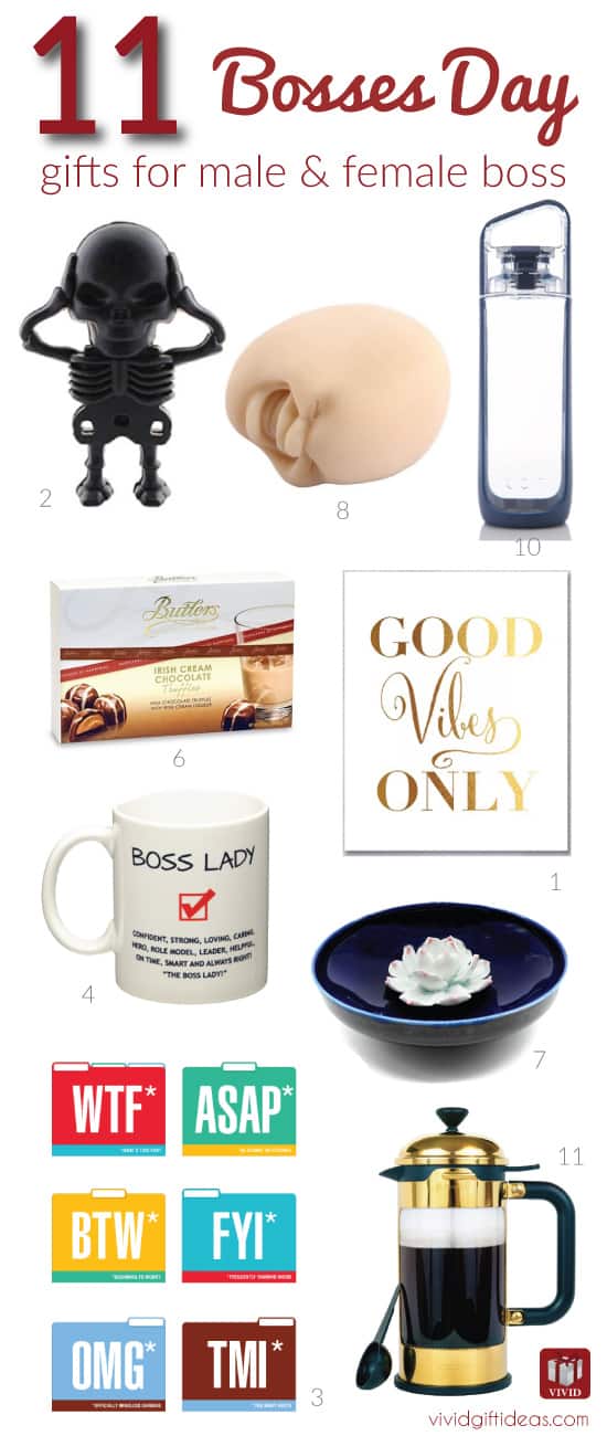 11 Fun Gift Ideas to Celebrate Bosses Day - Vivid's Gift Ideas