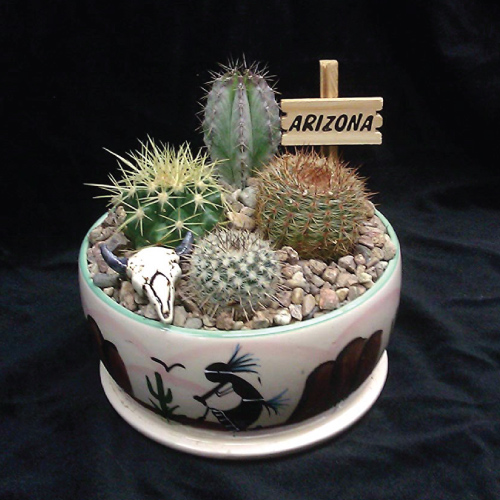 Cactus Gifts 20 Gift Ideas For Succulent Lovers