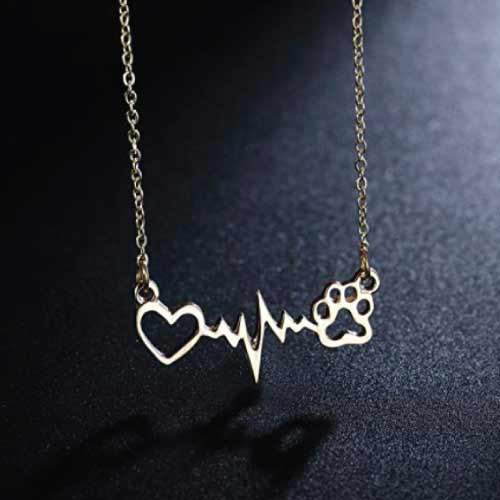 gifts-for-veterinary-technicians-vet-necklace