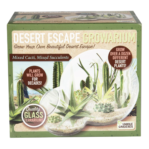 Unique Gardener Grow Your Own Desert Escape in A Quality Glass Terrarium
