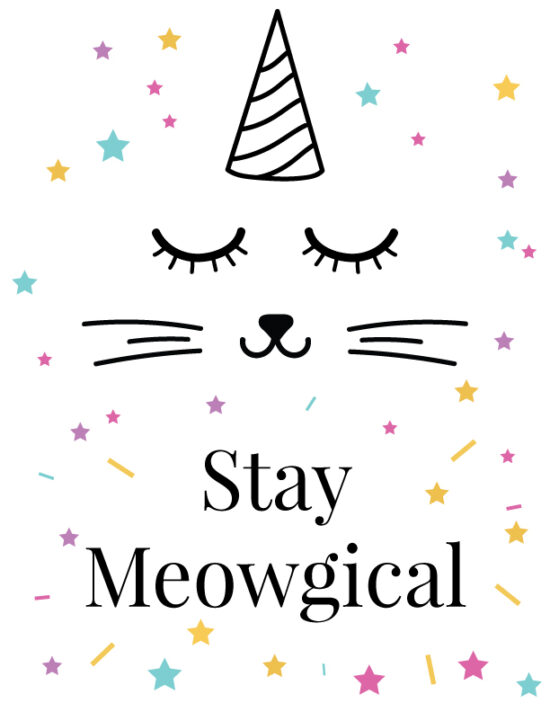 Stay Meowgical