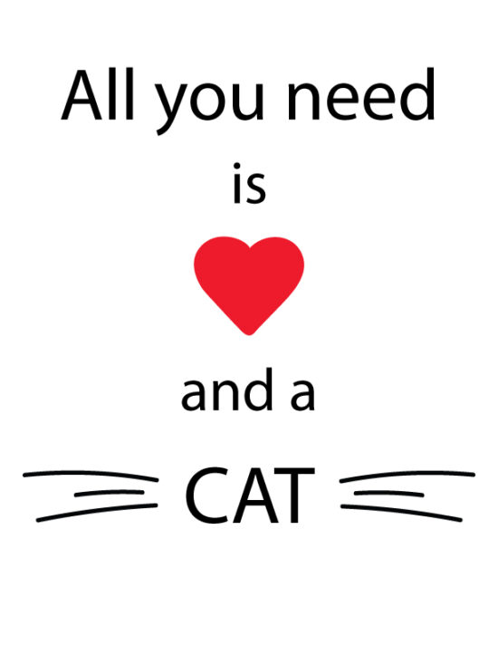 All you need is love & a cat