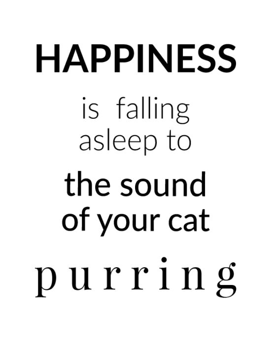 Happiness is falling asleep to the sound of your cat purring