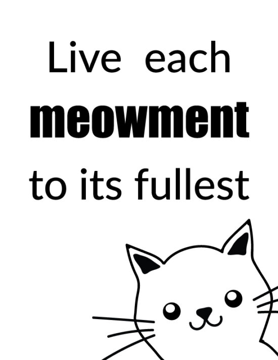 Live each meowment to its fullest