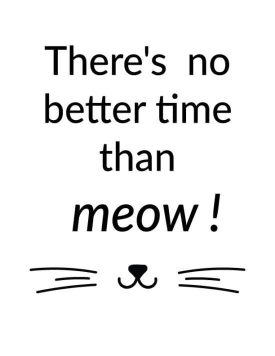 There's no better time than meow!