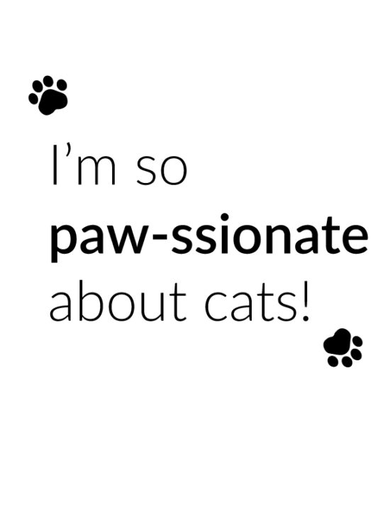 Iâ€™m so paw-ssionate about cats!